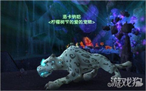班萨罗斯 刷新时间(班萨罗斯刷新最佳时间)插图1