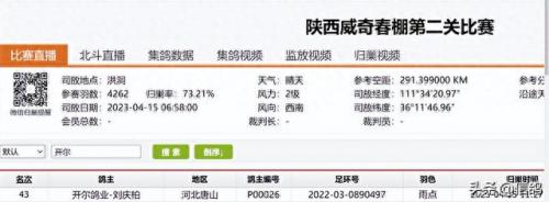 尼尔森赛鸽公棚春棚(尼尔森赛鸽公棚)插图4