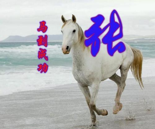 百家姓qq头像(百家姓头像大全真实图)插图24