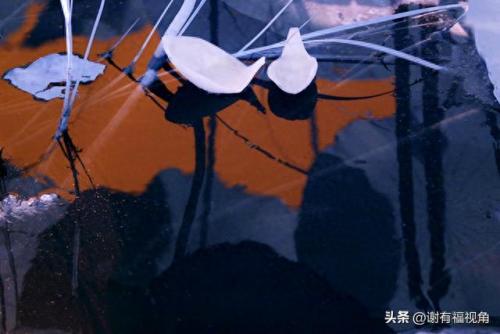 另类图库(49个图库app)插图12