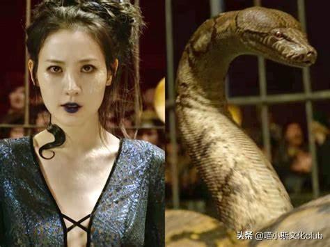 克雷登斯是不是伏地魔(克雷登斯怎么死的)插图5