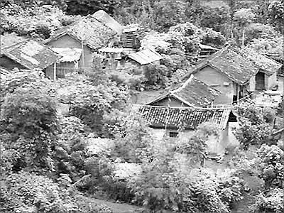 死亡村(罗垟村死亡76人之谜)插图4
