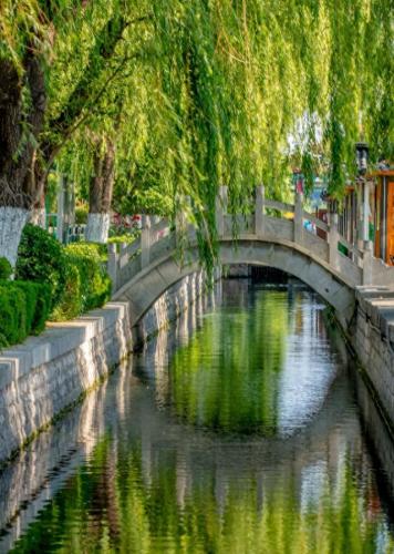 济南老街排名前十(济南最值得去的老街)插图14
