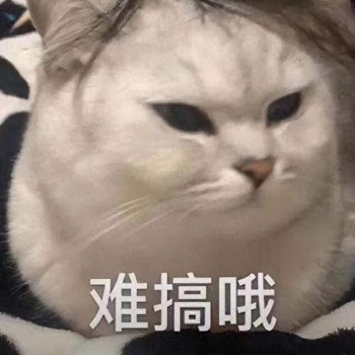 外卖企业排名前十(成都外卖单量排名区域)插图