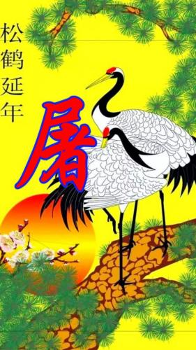 百家姓qq头像(百家姓头像大全真实图)插图94