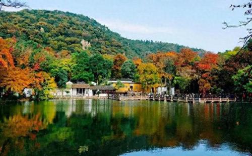 苏州景点排名前十6(苏州最受欢迎景点排名)插图22