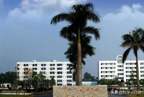 桂林大学排名前十(桂林高等学校有几所)插图2