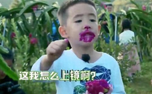 爸爸去哪儿第四季什么时候开播(爸爸去哪儿第四季在哪里看)插图50