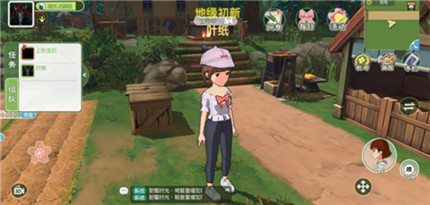 小森生活雪松树在哪(小森生活雪松木晚上还刷新吗)插图2