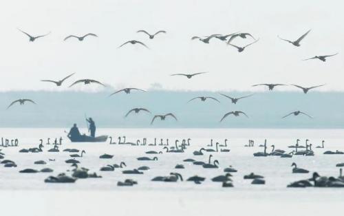 鄱阳游玩景点排名前十(鄱阳最近景点推荐)插图2