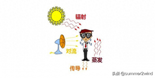 新西兰除味剂排名前十(除味最好方法是什么)插图1