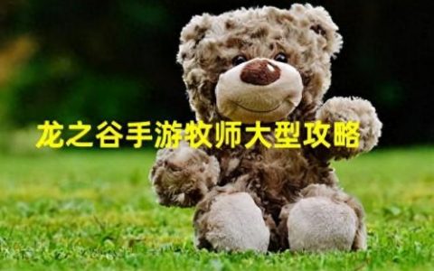 龙之谷材料(龙之谷所有装备)