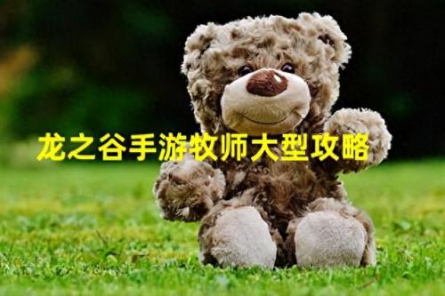 龙之谷材料(龙之谷所有装备)插图