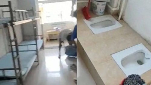 宿舍厕所没装门 校方：为方便学生(男生厕所改造成宿舍)插图