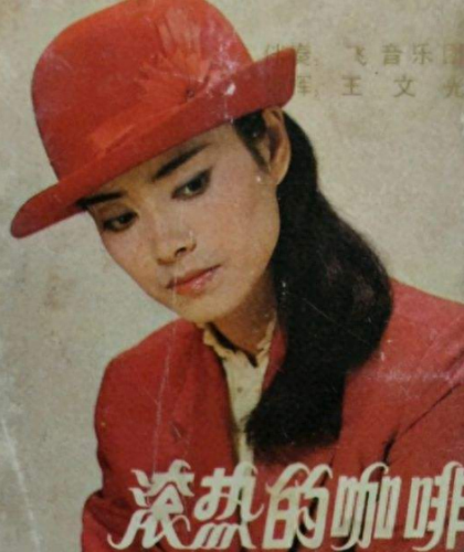 毛阿敏个人简历(毛阿敏经典歌曲)插图6