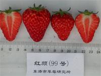 十大草莓排名前十图片(吃草莓的十大好处)插图10