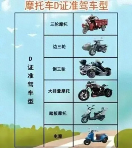 考驾驶证排名前十的图片(单眼驾驶证图片)插图2