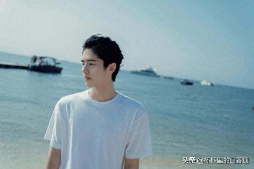2021前十明星排名(2020100位明星排名)插图9
