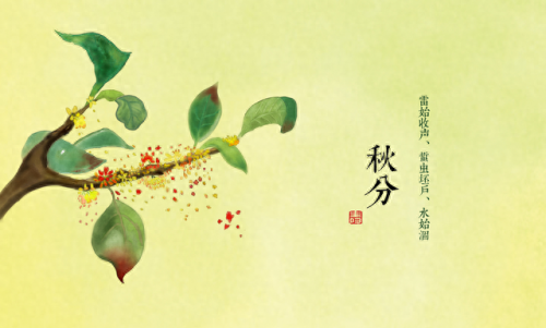 直射灸法(化脓灸教程央视)插图