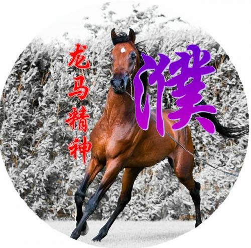 百家姓qq头像(百家姓头像大全真实图)插图78