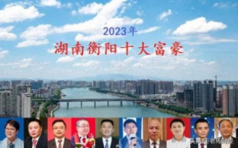 深圳前老板资产排名前十(深圳嘉远资本老板)