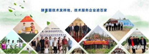 山东酵素排名前十(山东龙城酵素)插图6
