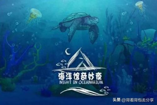 海洋旅游排名前十(十大海洋景点排名)插图6