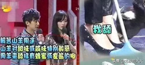 杨野花(农村各种野草)插图11