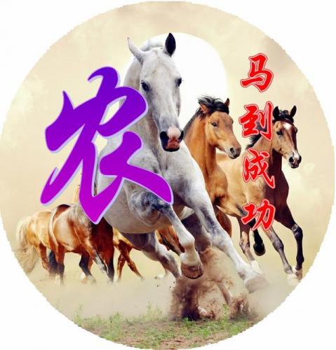 百家姓qq头像(百家姓头像大全真实图)插图89