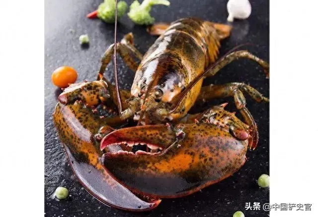 龙虾档次排名前十(龙虾品质排名)插图