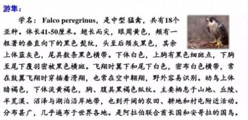 奔的多音字组词(奔多音字怎么区分)插图40