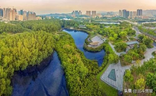 惠州好玩街区排名前十(惠州33号青年街区)插图47