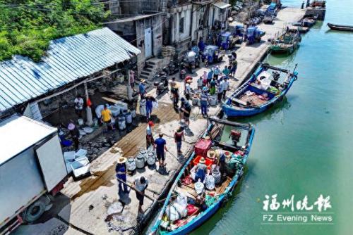 福建渔业排名前十(福建渔业十大强镇排行)插图