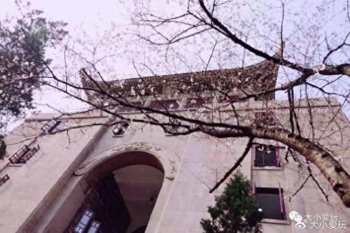 最有味道的大学排名前十(心理学排名前十的大学)插图5