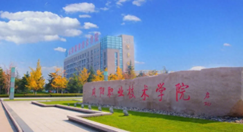 现代工程师专业排名前十(工业工程哪个专业最好)插图29