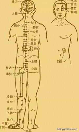经络养生排名前十(经络养生操30分钟免费看)插图2