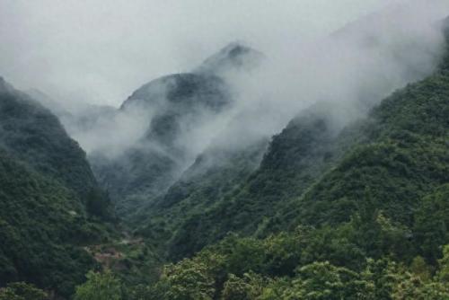 杏林榻榻米排名前十(和室榻榻米十大排名)插图43