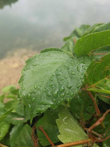 雨后的故事图片(雨中的小故事是什么梗)插图6