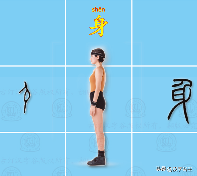 望其项背的近义词(望其项背什么意思)插图2