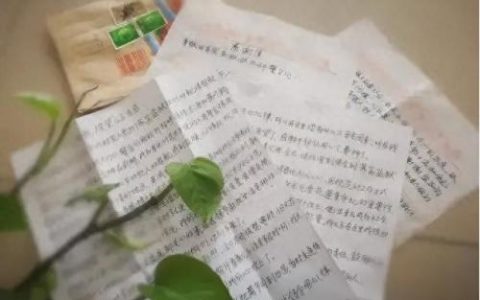 邮政平邮查询(邮政挂号信单号查询)