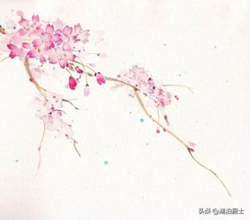 有情有趣全集(网剧有情有趣免费)插图5