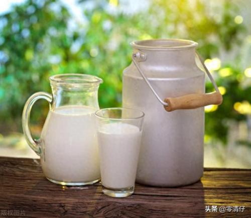 麦片酸奶排名前十(酸奶麦片品牌排行榜前十名)插图3