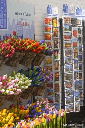 荷兰住宅公园排名前十(荷兰小镇空中别墅)插图16
