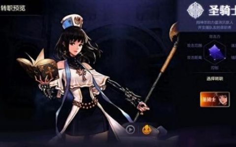 dnf女圣骑士加点(DNF女圣骑士加点2023)