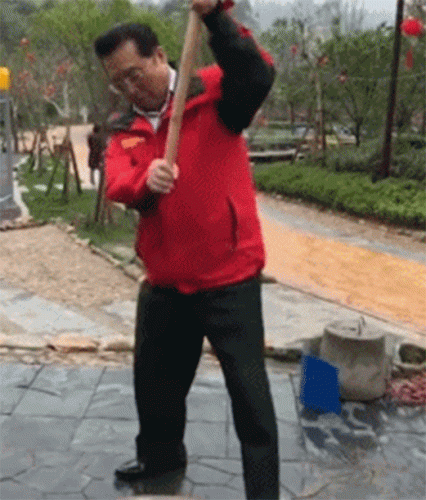 李天一案女主角杨佳(被李天一伤害的女孩杨佳多大)插图40