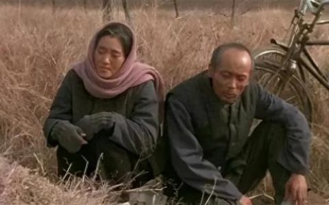 老黑奴(解放黑奴电影完整版免费)