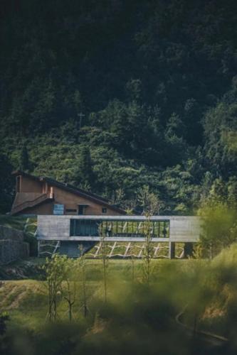 杏林榻榻米排名前十(和室榻榻米十大排名)插图38