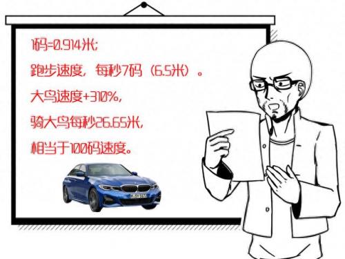 冬握湖(东北冬捕在哪个湖)插图1