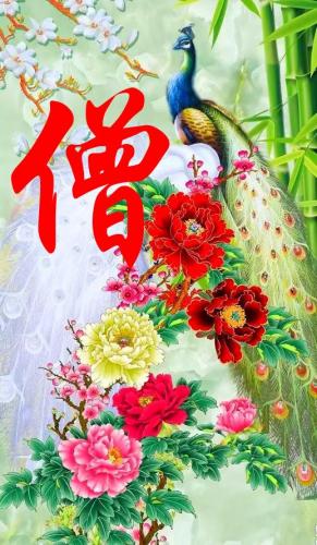 百家姓qq头像(百家姓头像大全真实图)插图51