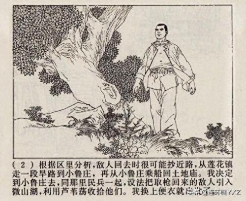 芦荡小英雄(电影芦荡小英雄)插图4